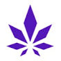  Revive Cannabis logo