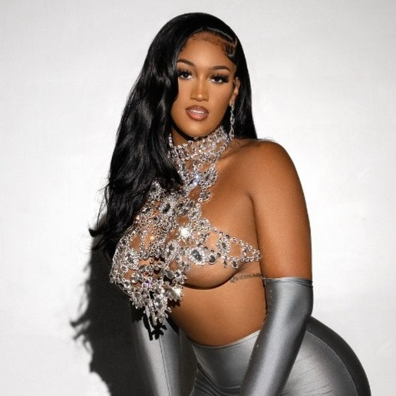 KAISER LEFT ME TO BE WITH HIS DAD + DECORATE THE HOUSE FOR CHRISTMAS | LIFE AS NIQUE VLOG !