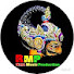 mfkNz9UF58w-channel-avatar-Raya Music