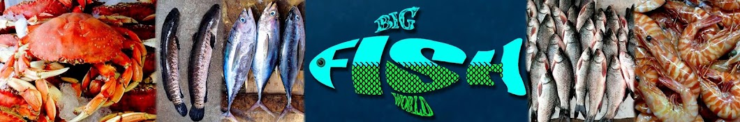 Big Fish World YouTube channel avatar