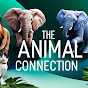 The Animal Connection logo