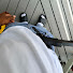 yT-cXtHQEPE-channel-avatar-DGlockz