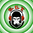 D-lnxB9P_6w-channel-avatar-Sasquatchian Gamer Tactics