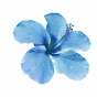 GC_PTzaEsCo-channel-avatar-Lyra Rose