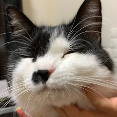 たーちゃん☆チャンネル(Tachan⭐︎channel)