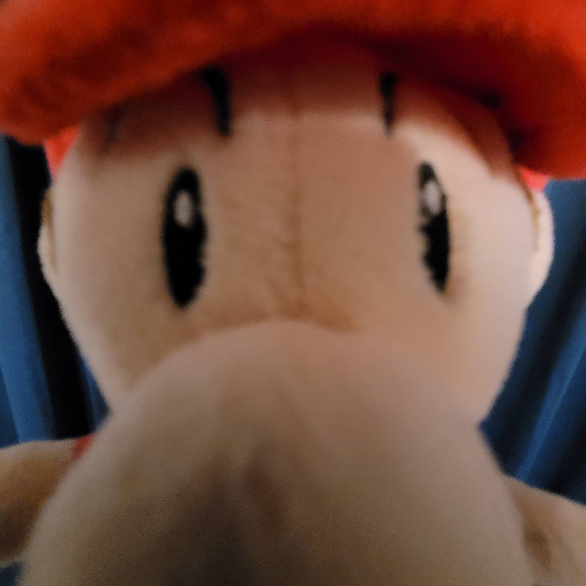 Post from Super Dylan Plush Show