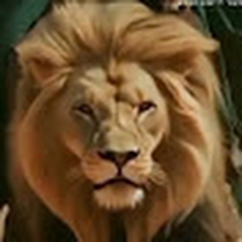 Hire amhv7w — Automotive & Transportation YouTube creator for sponsorships