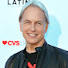 71tSqQVn2Yw-channel-avatar-Mark Harmon Reported