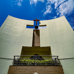 Y P Prasad photo
