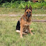 MHmKY7Q_reE-channel-avatar-Jodie berger allemand
