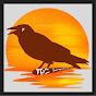 The Brown Crow logo