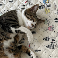 水田魔梨【0.1gの誤算】