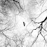 H0auTAU4u4w-channel-avatar-Depruss1an