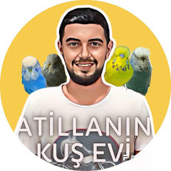 Atilla Kaba Budgies