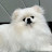 @3감행부-h4u