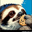 Sloths_Cookie