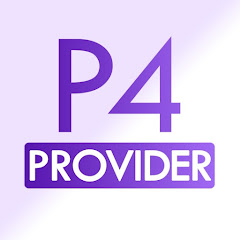P4 Provider net worth