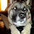 @winebartender6653's avatar
