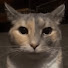 1lsGZw_CPGk-channel-avatar-Justanaccount8956