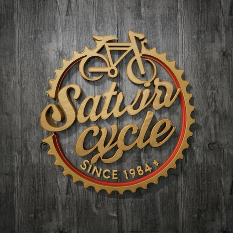 SATVIR CYCLE 