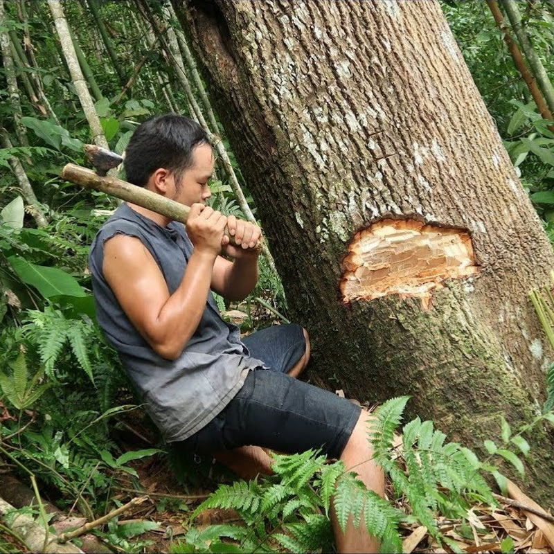 Primitive Green Living Logo