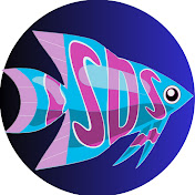 Submerged Designz Studio