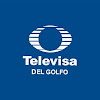 What could Televisa Del Golfo buy with $100 thousand?