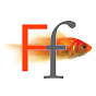 Focussed Fish Coaching - @focussedfish YouTube Profile Photo