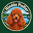 SX_0v9-6XcA-channel-avatar-Hindås Pudlar