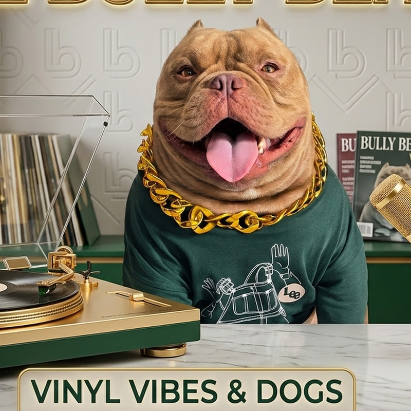 THE BULLY BEATS thumbnail
