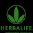 @user-heena143