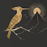 HATZl8ThgVw-channel-avatar-معنى