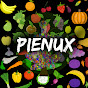 pienux logo