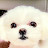 @리치슈-n7u