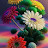 @kantaverma5970 Avatar