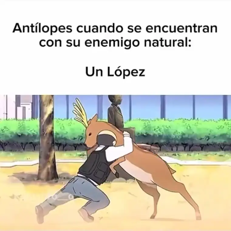 opZ8dsEkStSTspJpwY7RjAv6OFBRbesGFbmpite6v1hSpdMNsMim5nJplUXPgH6HQOPLx8mhx_pyQg=s761-c-fcrop64=1,06ff0000f900ffff-rw-nd-v1