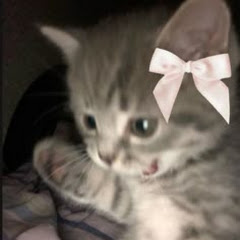 Lucyy coconut