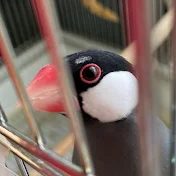 アズピー