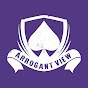 Arrogant View Productions, LLC logo