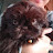 @mariebiskitPH's avatar