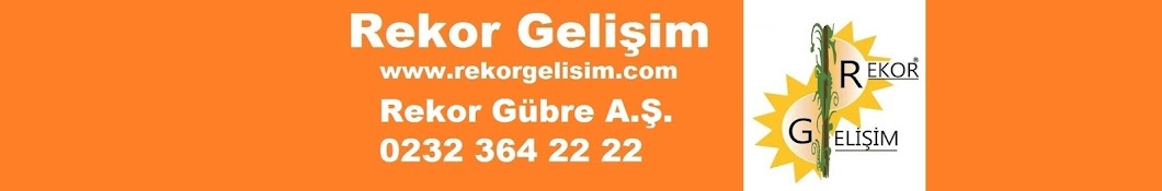 Rekor Gelisim YouTube channel avatar