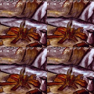 thumbnail img1x1