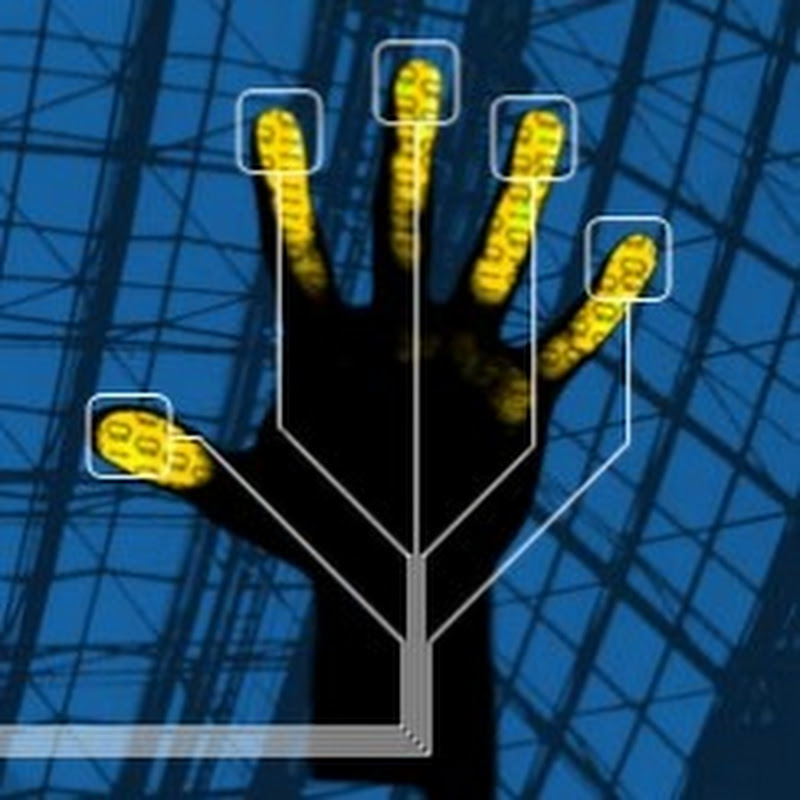 A Guided Tour Down The Rabbit Hole