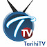 w6sz50CfvBw-channel-avatar-Tarihi TV