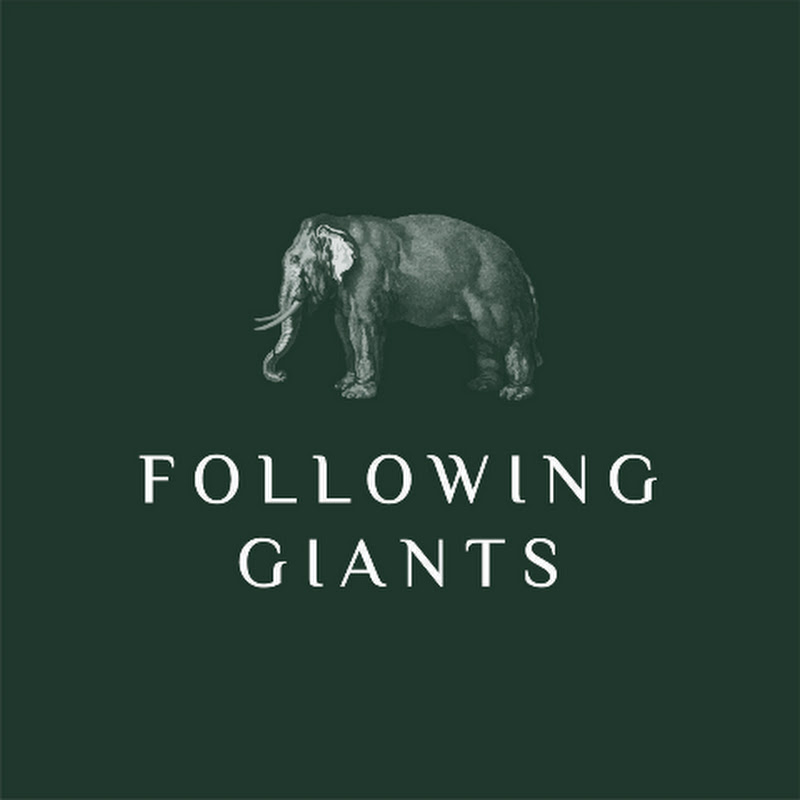 Following Giants - Elephant-Friendly Sanctuary 