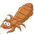 szPSEIy3c2w-channel-avatar-lice removal 
