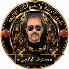 محترف البادجي والحيوانات الأليفة