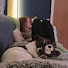 1WAKbWc_x5I-channel-avatar-WalkingWithWilson & Bud