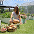 qn8TdVoLfJQ-channel-avatar-Riss Little Veggie Patch