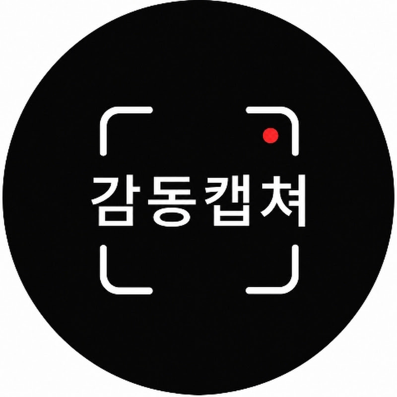 감동캡쳐 thumbnail